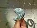 , Silver